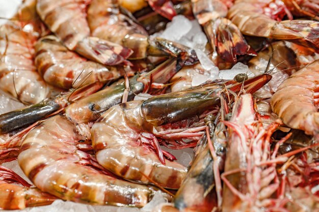 Raw shrimp or red prawns on ice at fish market selective focus