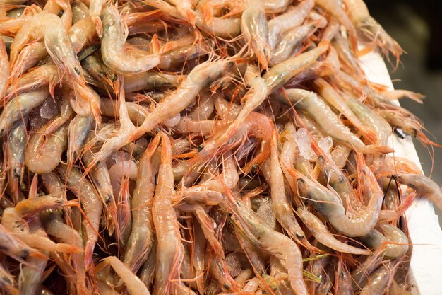 Raw shrimp with headfresh ready to cook