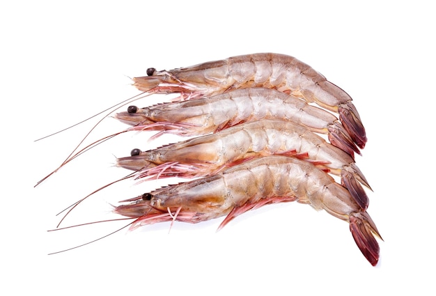 Raw shrimps isolated on white background