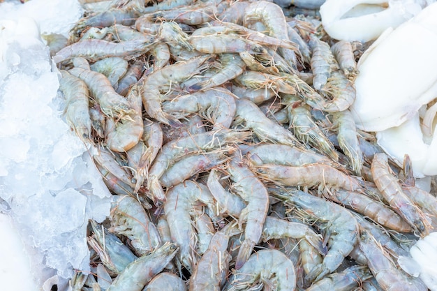 Photo raw shrimps at the street market in egypt