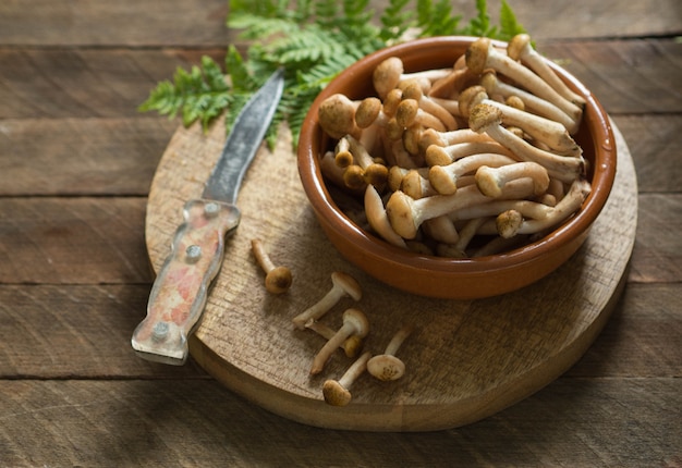 Photo raw small  honey mushrooms in a brown bowl on wooden board