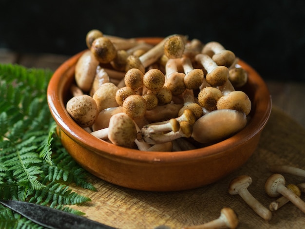 Raw small  honey mushrooms in a brown bowl on wooden board