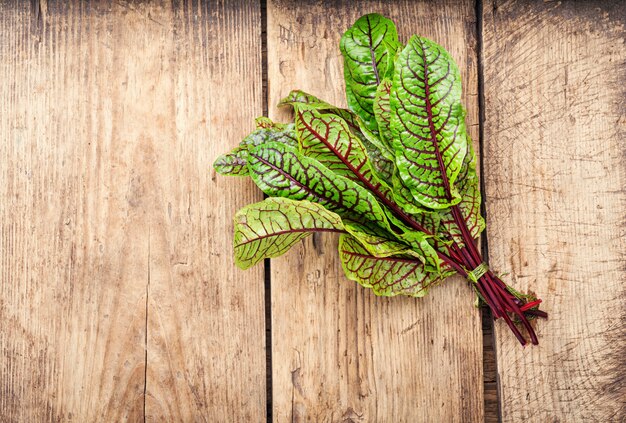 Raw sorrel leaves