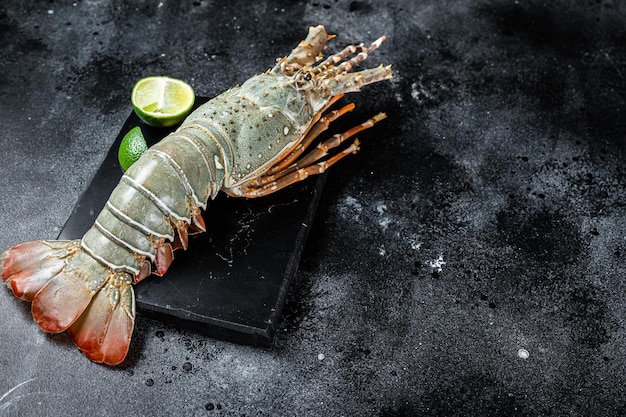 Raw Spiny lobster or sea crayfish on a marble board Black background Top view Copy space