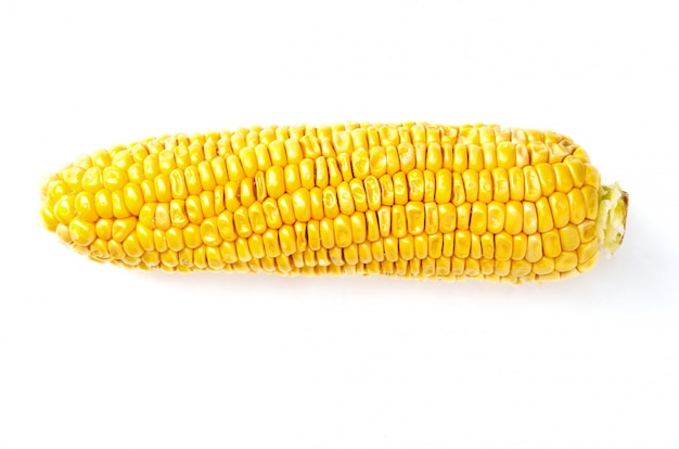 Raw sweet corn cob on white 