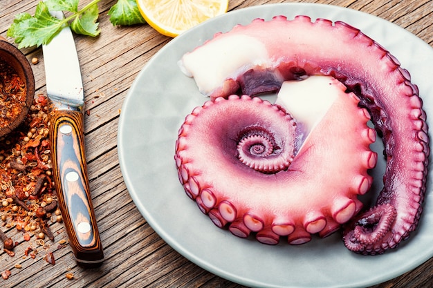 Raw tentacle of an octopus.