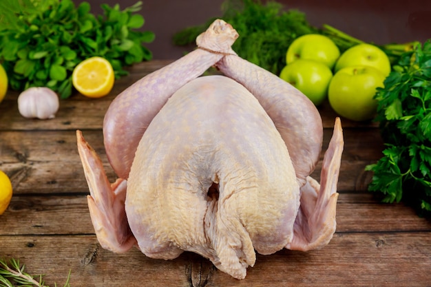 Raw Thanksgiving or Christmas turkey with herbs, lemon and apples.