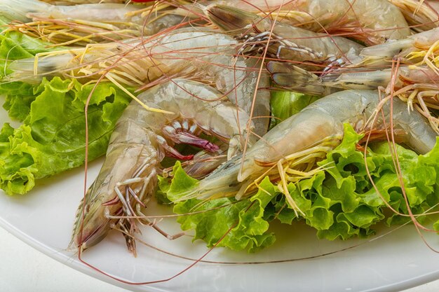 Raw tiger shrimps