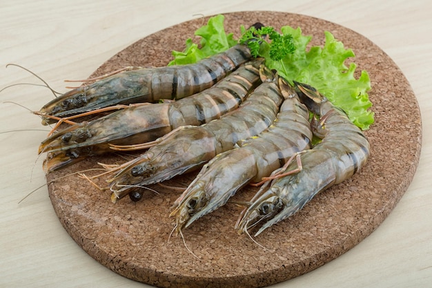 Raw tiger shrimps