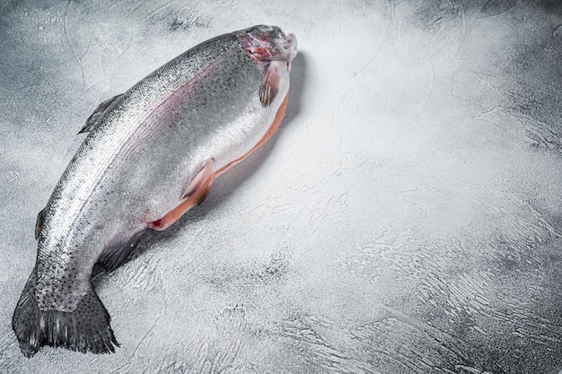 Raw trout silver fish on a kitchen table Gray background Top view Free space for your text