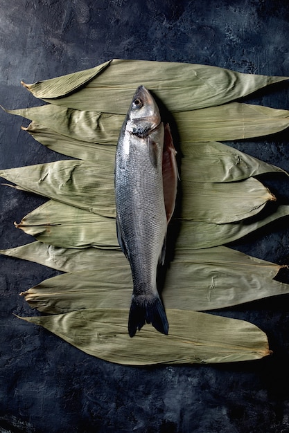 Raw uncooked fish sea bass