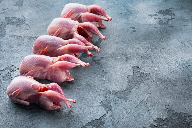 Raw uncooked quails set, on grey table 