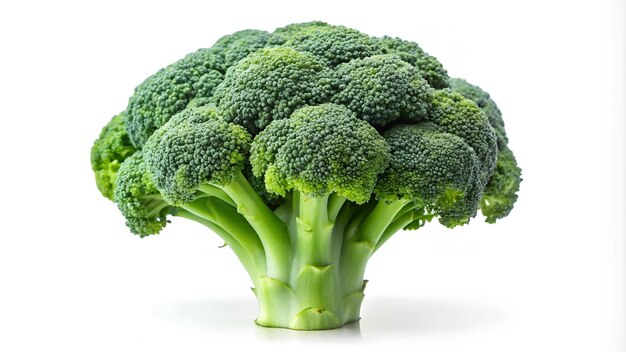 Raw vegetarian broccoli vegetable white background