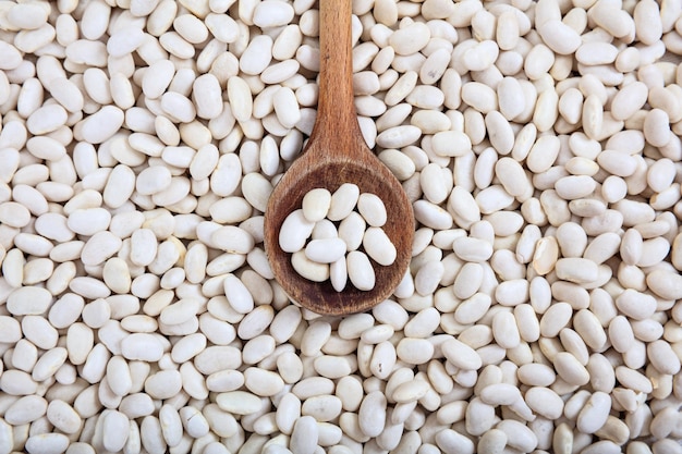 Raw white beans and a wooden ladle