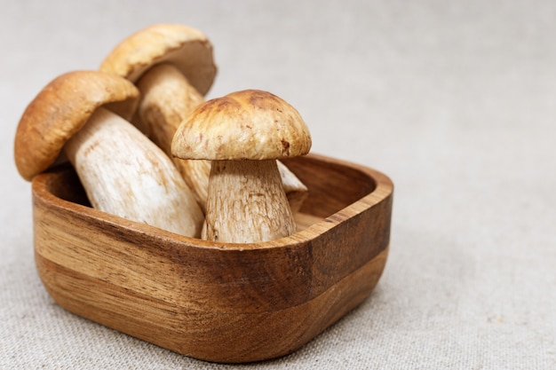 Raw white mushrooms boletus in wooden bowl. 
