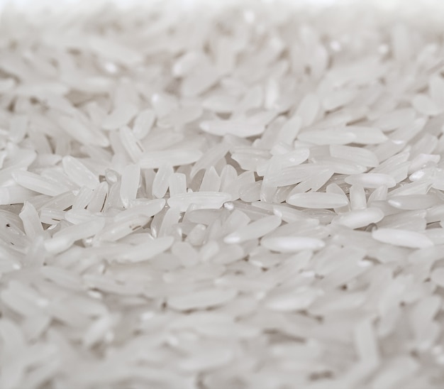 Raw white rice in closeup photo with top view