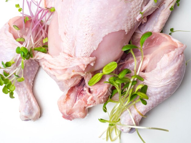 Raw whole chicken or small turkey with green herbs isolated on white