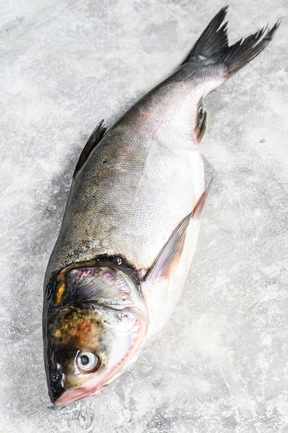 Raw whole fish silver carp. . 