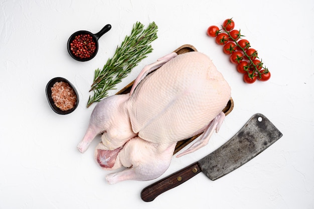 Raw whole goose, poultry meat set with herbs, on white stone table background, top view flat lay