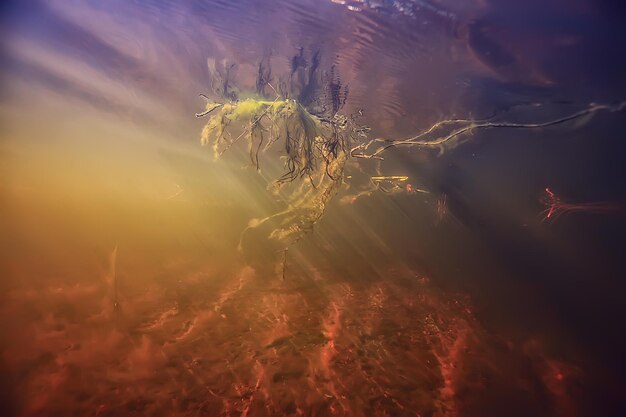 Rays of light underwater fresh lake, abstract background nature\
landscape sun water