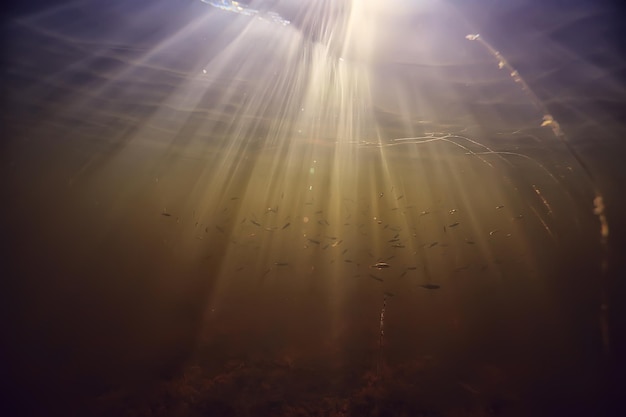 Photo rays of light underwater fresh lake, abstract background nature landscape sun water