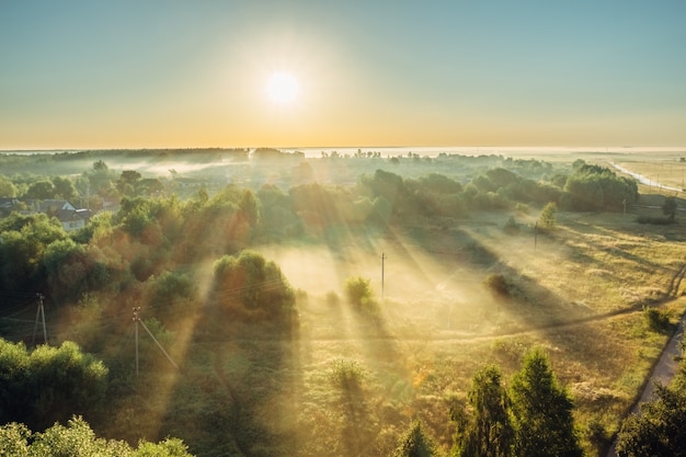 Photo the rays of the sun in the fog over the field