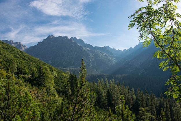 Rays of sunshine in the mountains in the morning