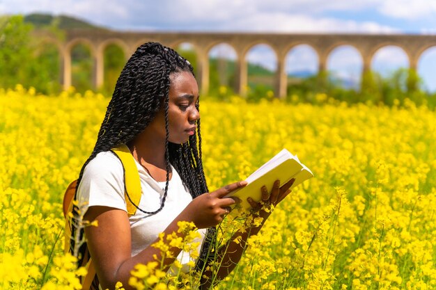 Reading a book in nature with a serious face a black ethnic girl with braids a traveler in a field of yellow flowers