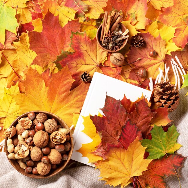 Reading time autumn flat lay white book wooden bowl of nuts coffee cup cone cinnamon over beige plaid and colorful leaves background hygge and cozy still life top view banner