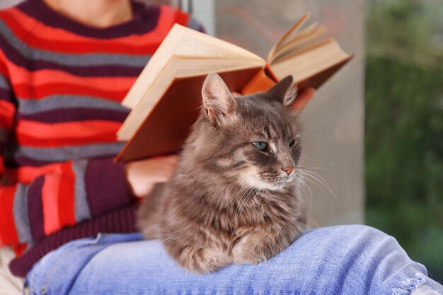 Про котенка гав читать