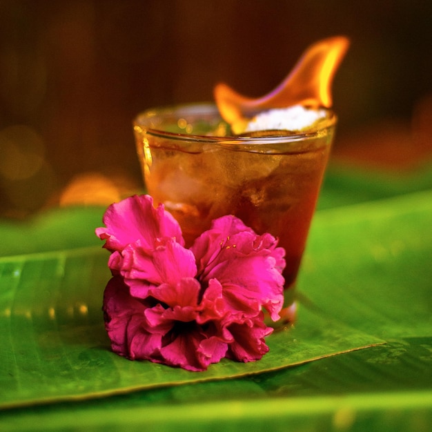готовые коктейли с алкоголем на пальмовых листьях подаются