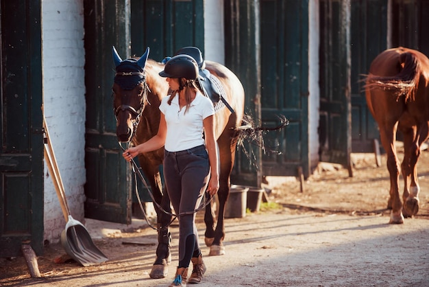 Ready for the ride. Horsewoman in uniform and black protective helmet with her horse.