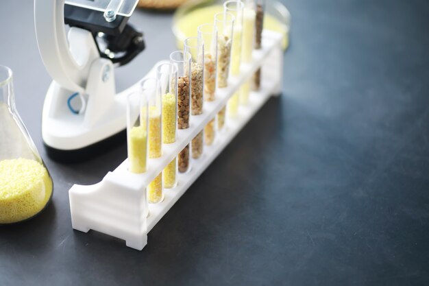 Reageerbuisjes met zaden van selectieplanten. Onderzoek naar landbouwgranen en -zaden in het laboratorium