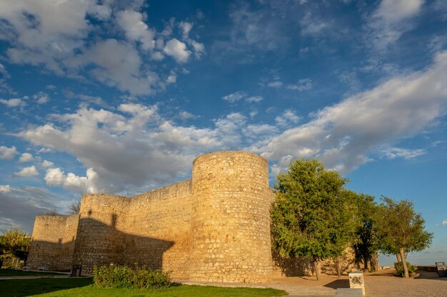 Real Alcazar of Toro Zamora