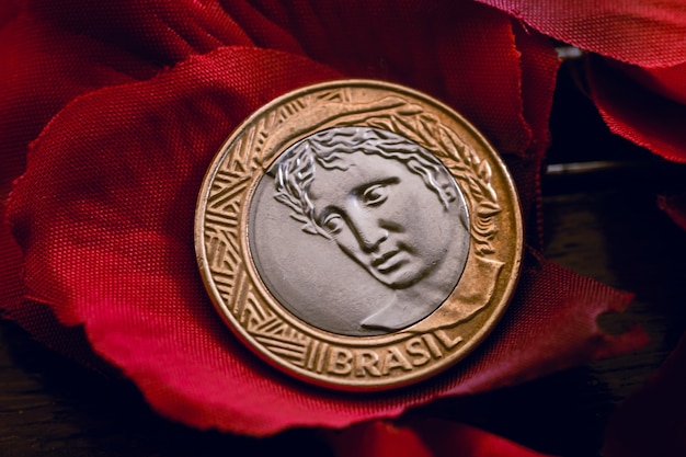 real brl A brazilian coin on artificial rose petals