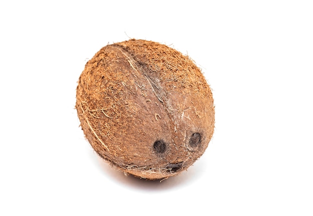 Real Coconut isolated 