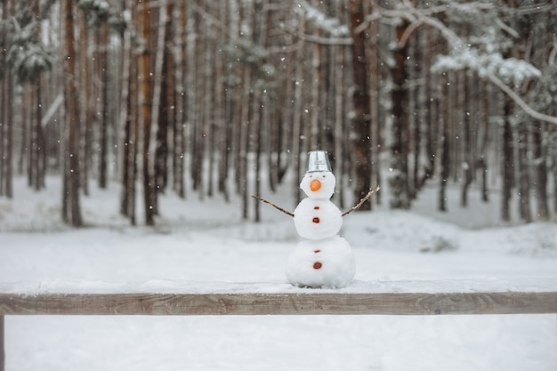 Real made snowman with bucket standing In winter landscape on the bench.