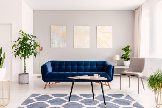 Real photo of plants dark blue sofa and posters on the wall in