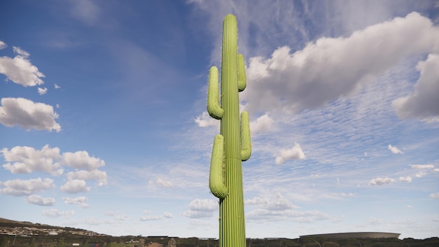 Photo realistic cactus with blue sky