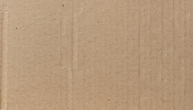 Photo realistic cardboard texture background