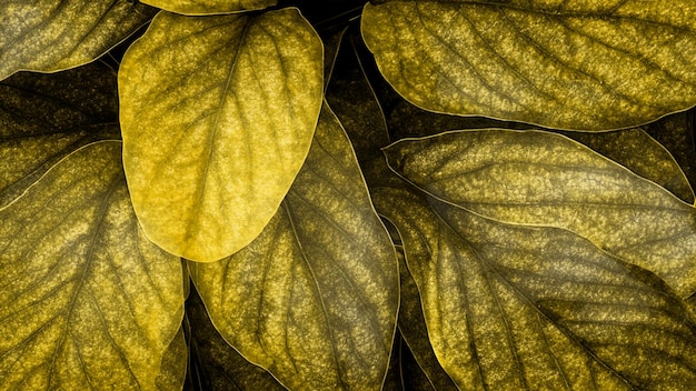 Photo realistic flower image with golden leaf