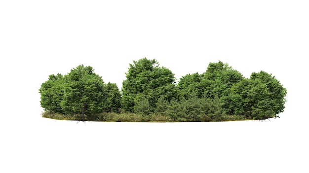 Realistic green field of grass on white background 3d render useful for commercial banners and print