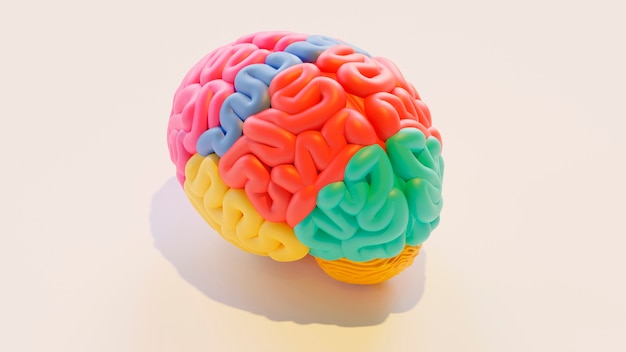 Photo realistic  human brain