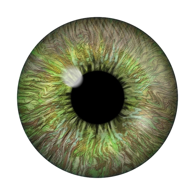 Immagine realistica di un occhio retina della cornea dell'iride con flash luminoso illustrazione 3d dell'occhio verde