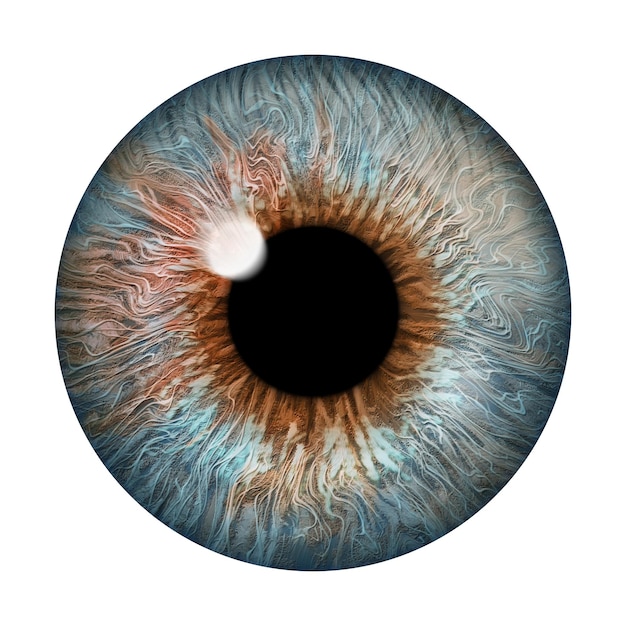 Realistic image of an eye Iris cornea retina with luminous flash Light blue eye 3d illustration