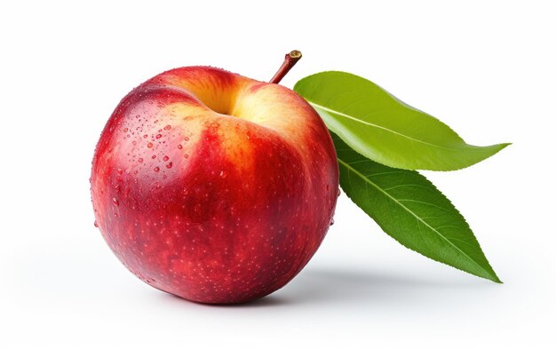 A Realistic Image Showcase of Nectarine on White or PNG Transparent Background