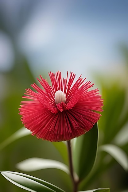 realistic looking flower