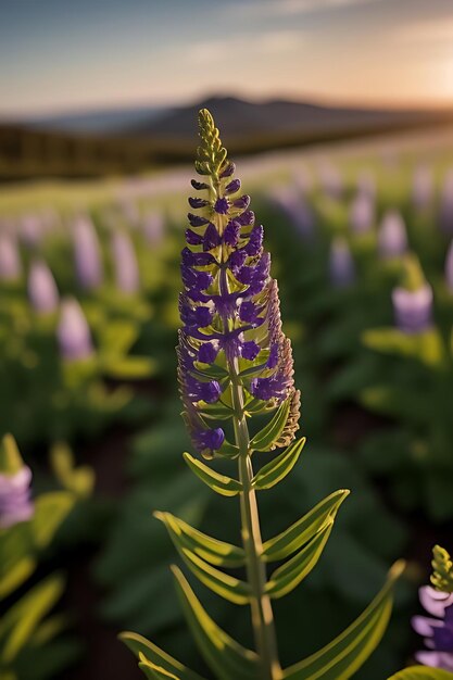 Photo realistic looking flower