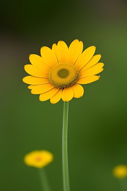 リアルに見える花