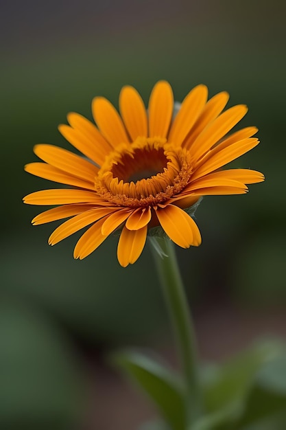 リアルに見える花